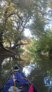 Canoeing with Up and Beyond Adventures